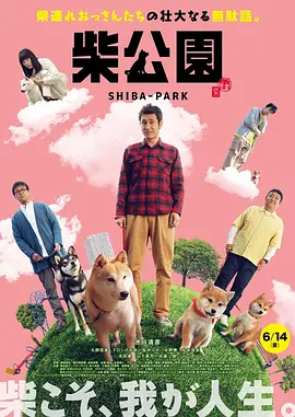 好看的网站你懂的